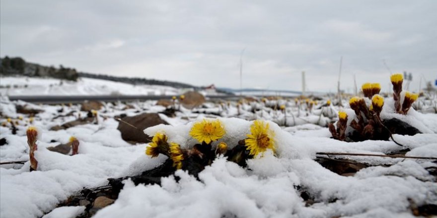 Doğu Anadolu'daki 4 ilde sıcaklıklar gece sıfırın altına düştü