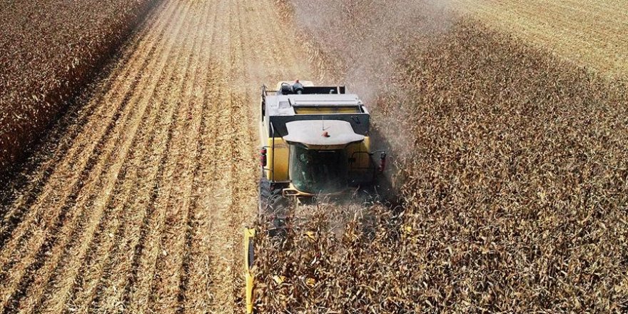 Tarım ÜFE martta arttı