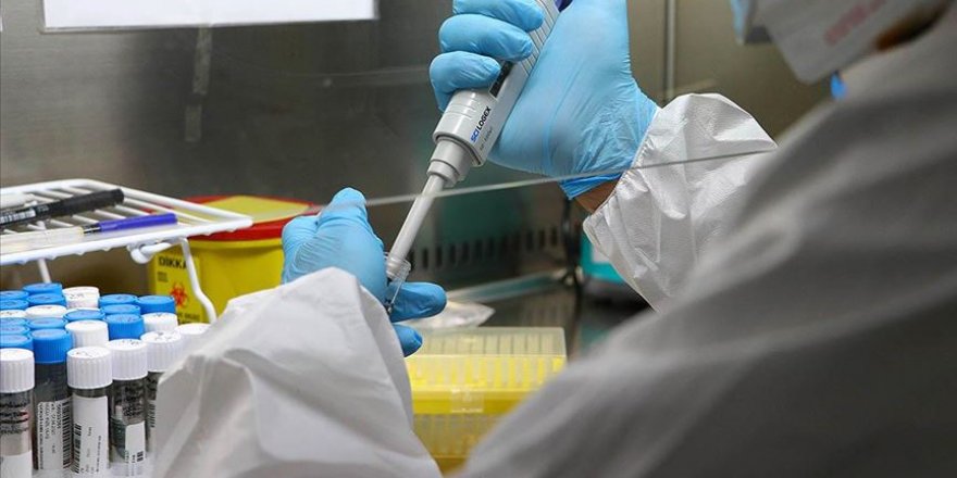 Kovid-19'un genetik şifresi 2 bin kişinin genom dizilemesiyle çözülecek