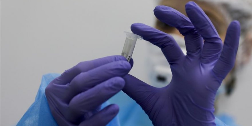 Güneş ışığı koronavirüsü öldürebiliyor