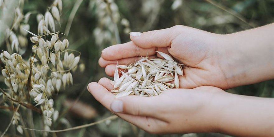 Uluslararası Tarımsal Kalkınma Fonu'ndan Kovid-19 sonrası için gıda krizi uyarısı
