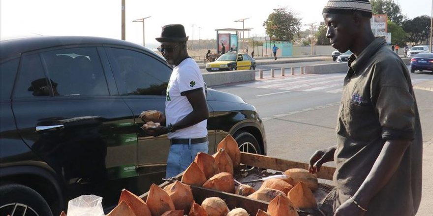 Senegal'de salgına şifa kainat eczanesinden