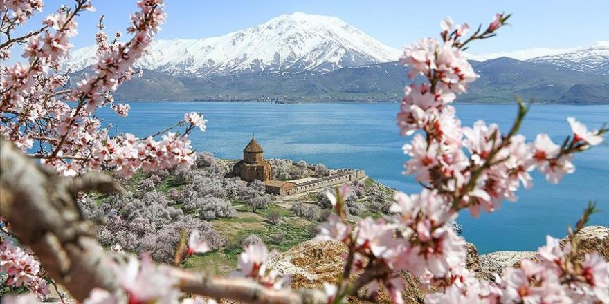 Akdamar Adası çiçek açan badem ağaçlarıyla etkiliyor