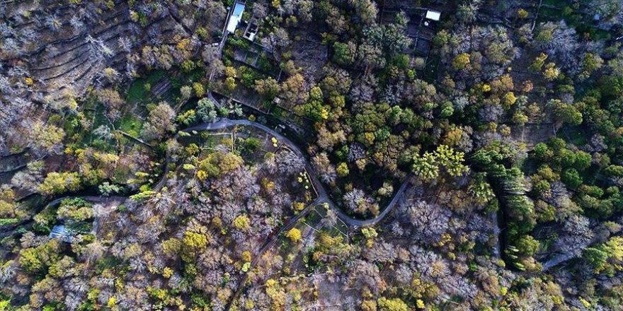 Koramaz Vadisi tarihi dokusu ve doğal güzellikleriyle etkiliyor