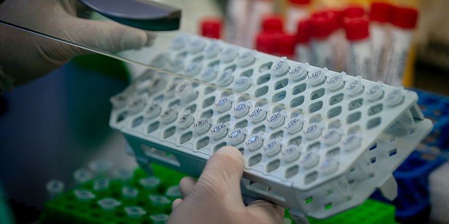 İstanbul'da bir hastadan alınan Kovid-19 virüsünün genomu dizilendi