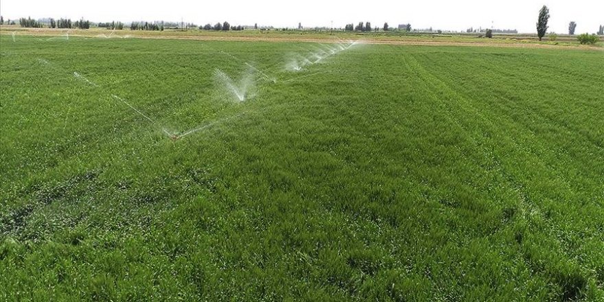 Ankara'da 162 bin dekar tarım arazisi suyla buluştu