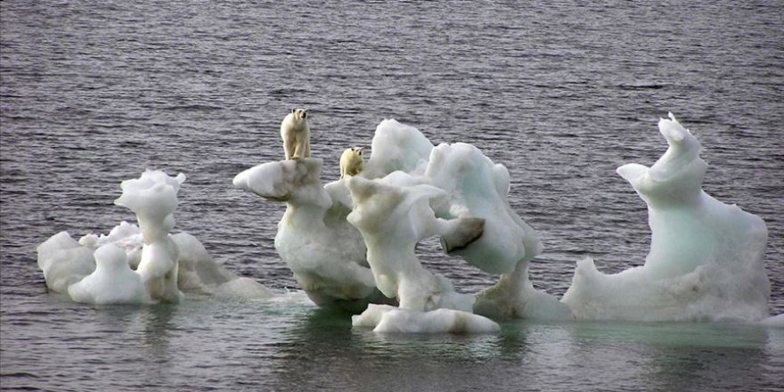 Kuzey Buz Denizi'nde 2050'ye kadar yaz mevsiminde buzullar yok olabilir