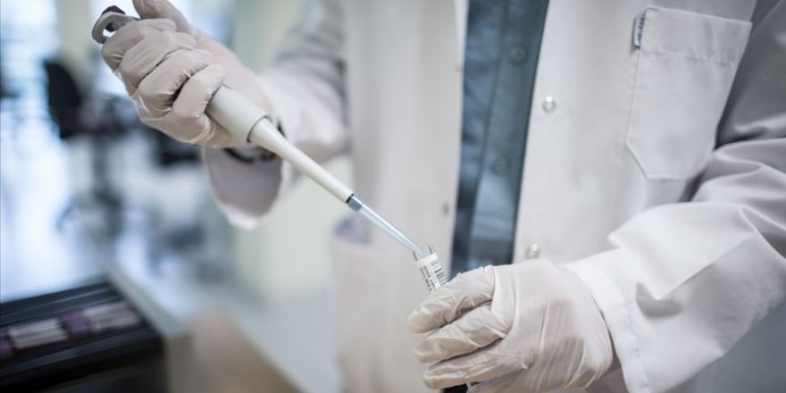 Dilimizde yeni bir tip tat alma hücresi keşfedildi