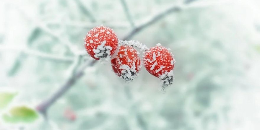 Meteorolojiden zirai don ve çığ tehlikesi uyarısı