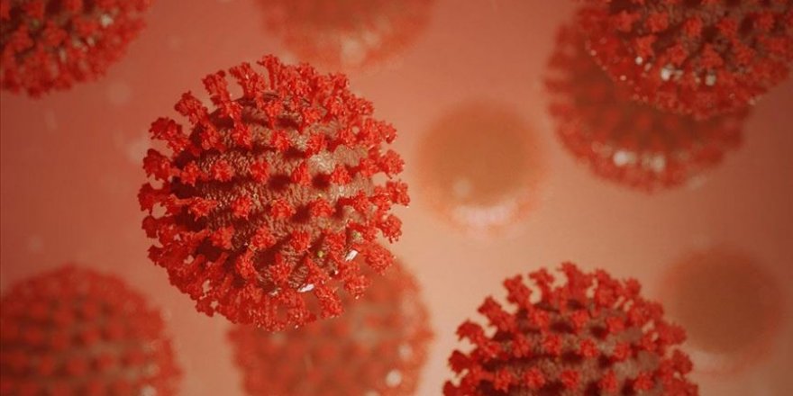 Bilim insanlarından Kovid-19'un belirli hücreleri hedef aldığını gösteren araştırma
