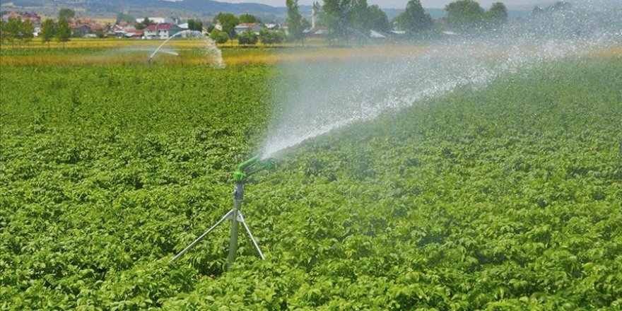 Kastamonu'da sulu tarımla ekonomiye 290 milyon liradan fazla katkı sağlanacak