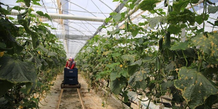 Çiftçilerin üretim mesaisine ramazan düzenlemesi