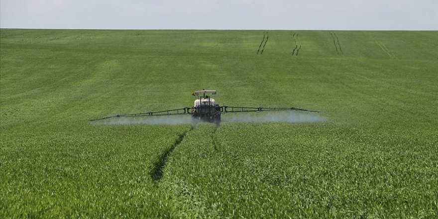 Tarımda yanlış ilaçlama doğadaki arı ve faydalı böcekleri öldürüyor