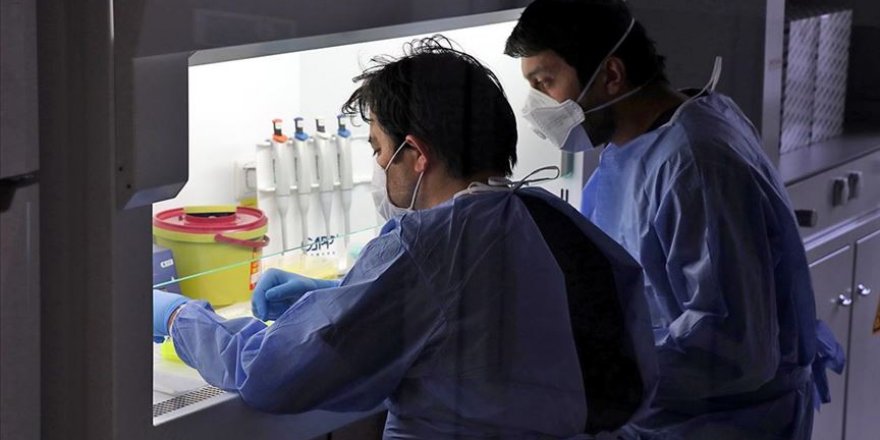 Kovid-19 yetkilendirilmiş tanı merkezi salgının yayılmasına 'set' çekiyor