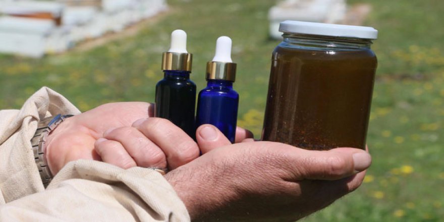 Propolise salgınla birlikte ilgi arttı