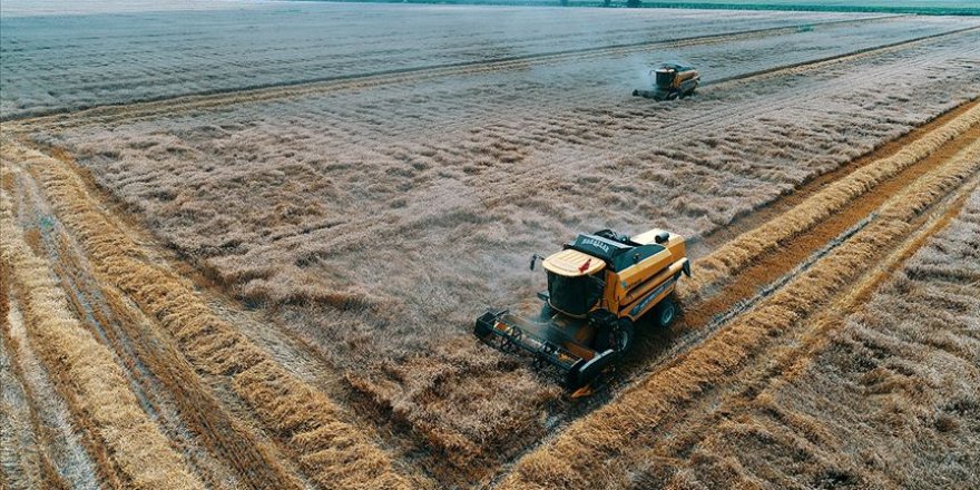 Yeni dünya düzeninde gıda ve tarım çok daha önemli hale gelecek
