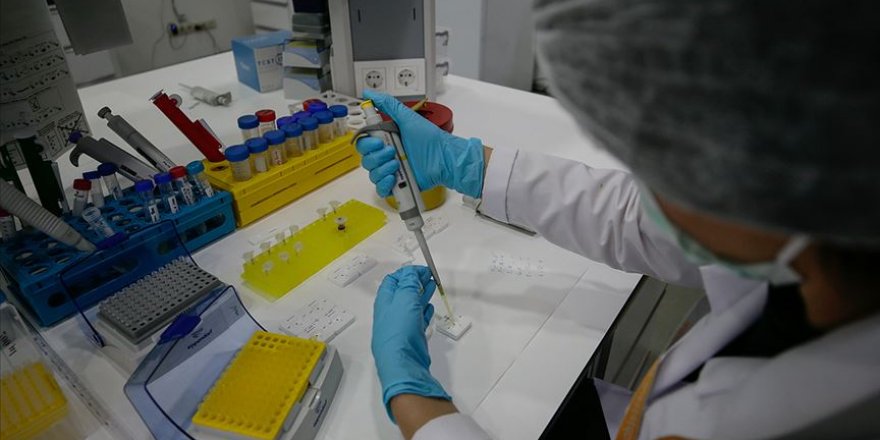 Türkiye'den 614 akademisyen, 'Dünyanın en etkili bilim insanları' listesinde yer aldı