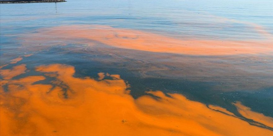 Planktonların çoğalmasıyla Marmara Denizi turuncuya büründü