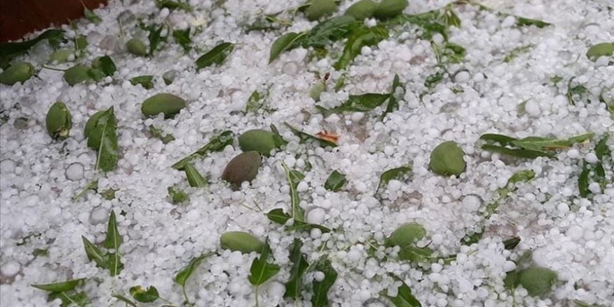 Mersin'de etkili olan dolu tarım alanlarına zarar verdi