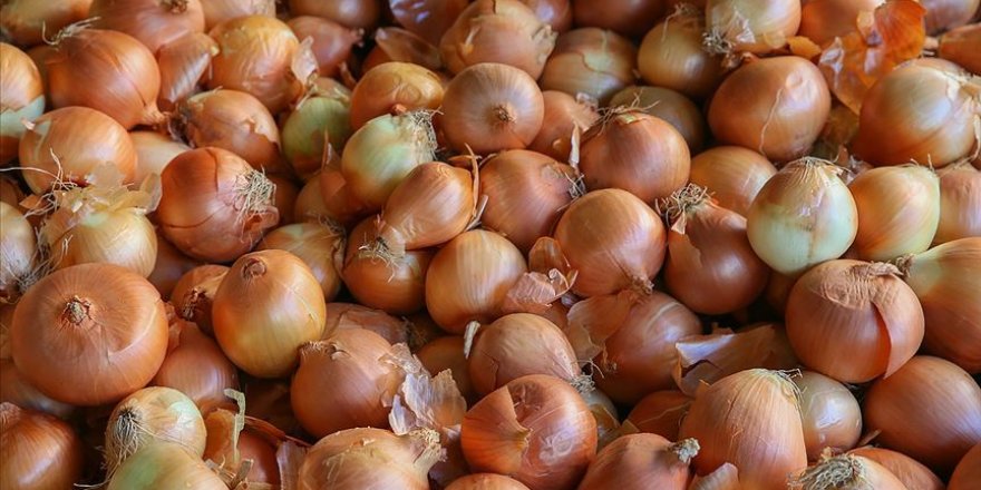 Nisanda en fazla soğanın fiyatı arttı