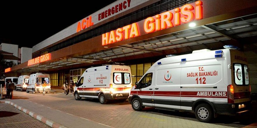 Sokak köpeklerinin saldırısına uğrayan üniversite öğrencisi kız yaralandı