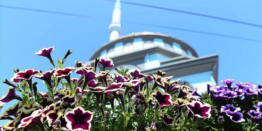 Muhtar cami avlusunu adeta botanik bahçesine dönüştürdü