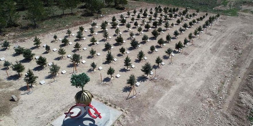 Bozkırın ortasında 'Orman Şehitleri Hatıra Ormanı' oluşturuldu