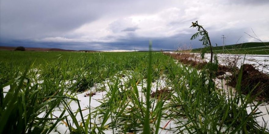 Kırşehir'de sağanak ve dolu tarım alanlarına zarar verdi