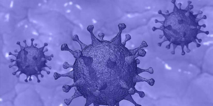 Mutasyona uğrayan koronavirüs zayıflıyor olabilir