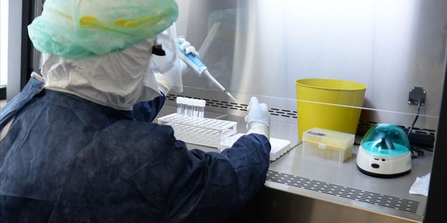 Bilim insanları, gen düzenleme teknolojisi kullanarak yeni bir kanser tedavisi geliştirdi