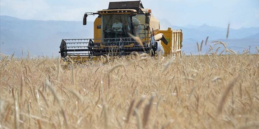 Buğdayda alım fiyatı açıklandı, gözler üretimde