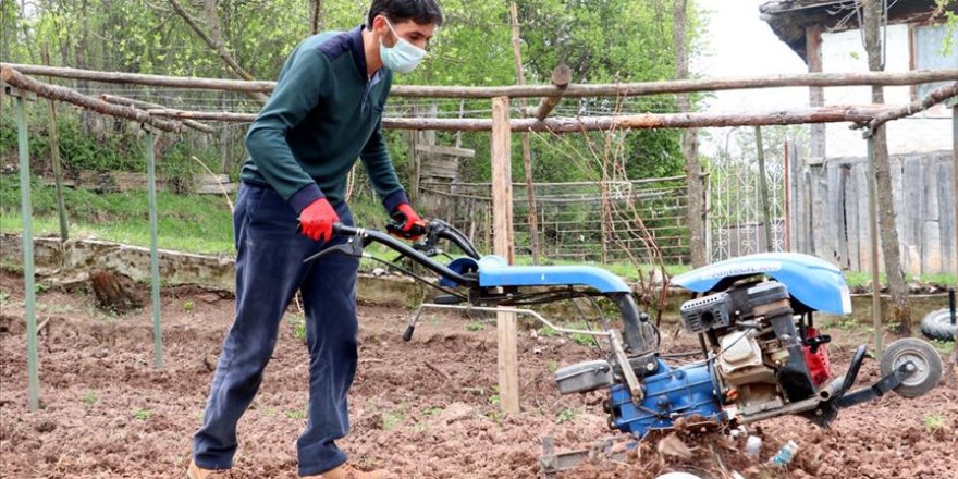 Köy imamı gurbetteki köylülerin bahçesini sürüyor, üzüm asmalarını buduyor