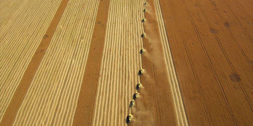 Dünya nüfusunun yüzde 90'ı Türk unu tüketiyor