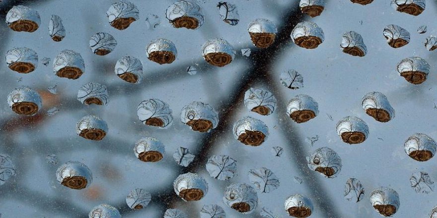 Bilim insanlarına göre 'nem dengesini doğru ayarlarsak' Koronavirüsten korunabiliriz