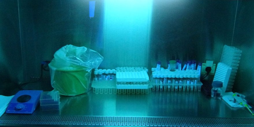 Koronavirüsle mücadelede 'ultraviyole ışınlı temizlik' uyarısı