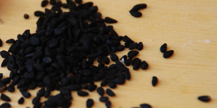 Ölümden başka her derde deva çörek otu, pandemi sürecinde rekora koşuyor