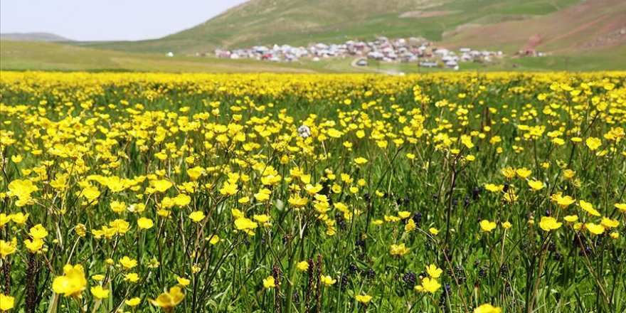 Ağrı düğün çiçekleriyle renklendi