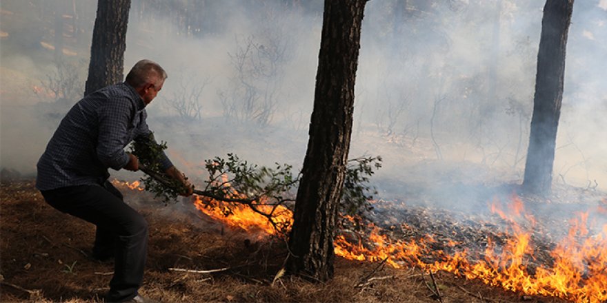 Salgın da orman yangınlarını engelleyemedi