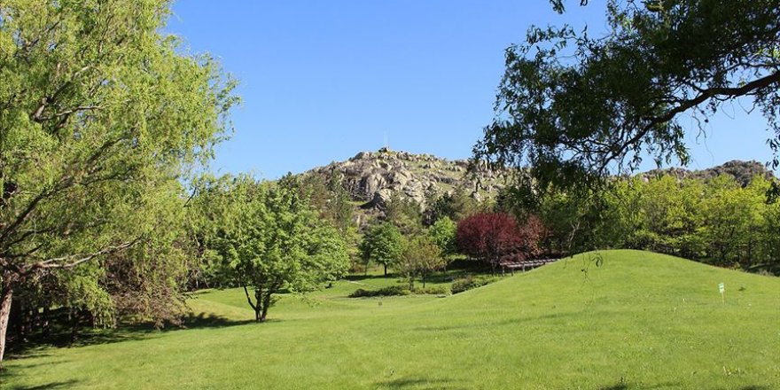 Kırşehir'deki Japon Bahçesi'nde ilkbahar güzelliği yaşanıyor