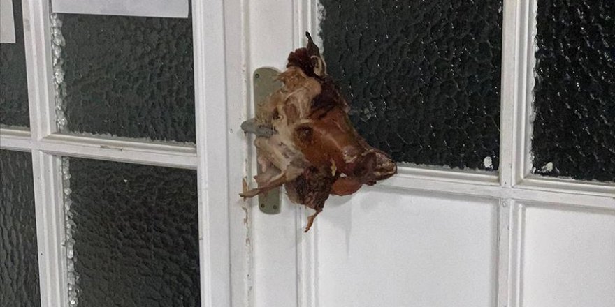 Almanya'da cami kapısına domuz kafası asıldı