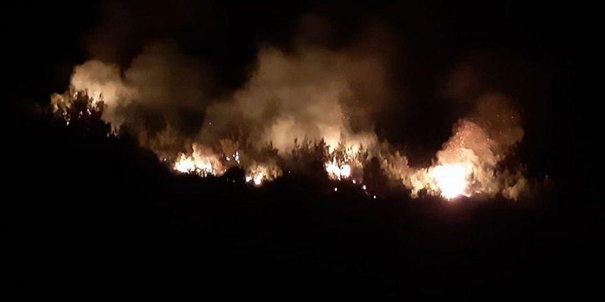 Adana’da orman yangını