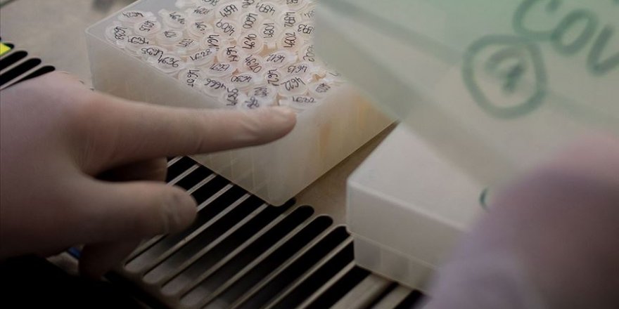 Uzmanlar prototip bir aşının maymunları Kovid-19'dan koruduğunu açıkladı