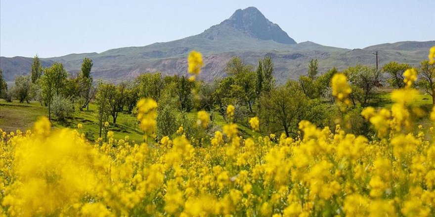 Yağışlı ve soğuk hava gidiyor bahar havası geliyor