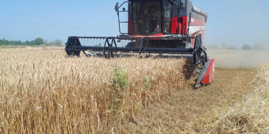 Adana'da buğday hasadına başlandı