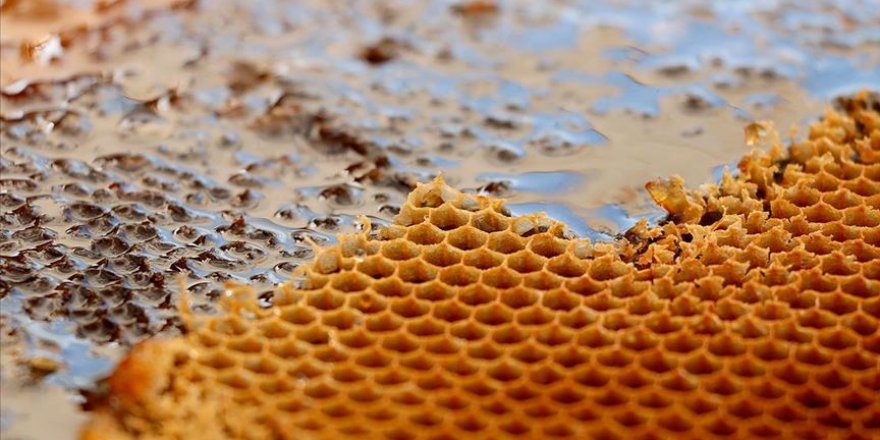 Türkiye'nin 2020 bal üretim hedefi 110 bin ton