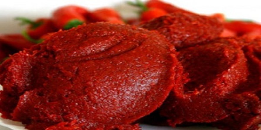 Hollanda'ya 16 yıldır salça ihraç ediyor