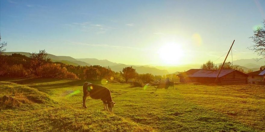 50 dereceye ulaşan aşırı sıcak günlerin sayısı her yıl artıyor