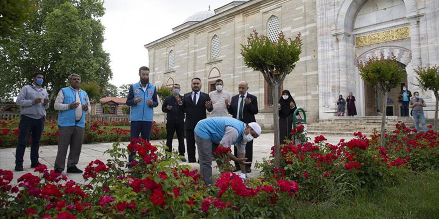 Camilere kavuşma sevinci: Yüzlerce şükür kurbanı kesildi