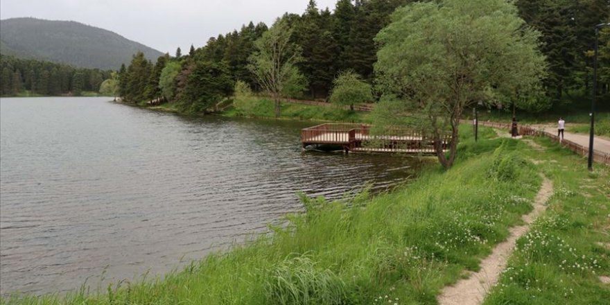 Milli ve tabiat parkları 1 Haziran'da yeniden açılıyor