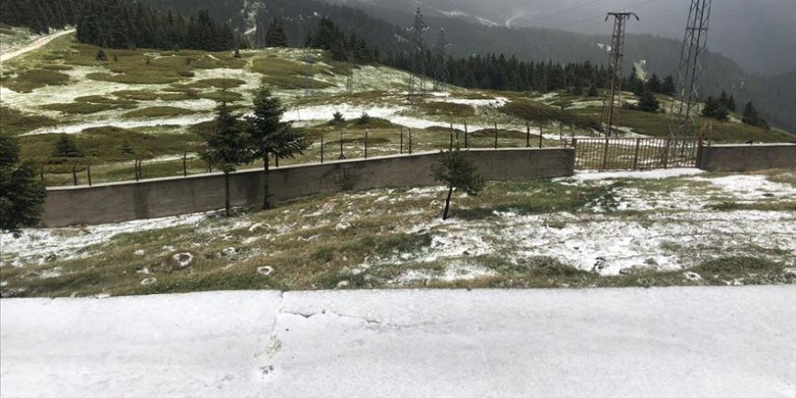 Ilgaz Dağı Milli Parkı'nda teknik çalışma başlatıldı